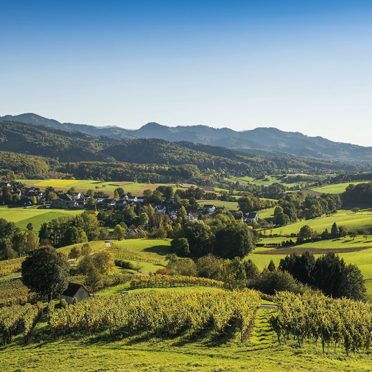 Landschaft in Baden